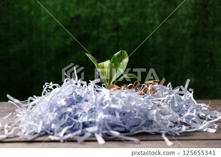Young green plant in stack of scrap paper from paper cutter. Succulents in an eco paper. Eco friendly reusable eco bag and succulents. 125655341