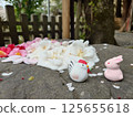 Omisoji (sacred lottery) to visit a shrine 125655618