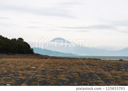 View of Miho no Matsubara beach with mt Fuji View of Miho no Matsubara beach with mt Fuji 125655703