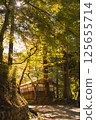 Sun rays shine through golden foliage in autumn with tiny hut 125655714