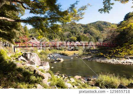 Koran bridge across Tomoe river at Korankei gorge during autumn season 125655718