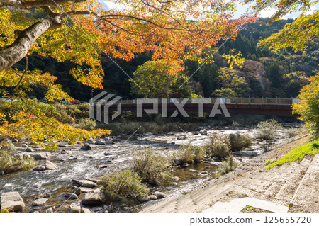 Kaorukaede bridge across Tomoe river at Korankei gorge during autumn season 125655720