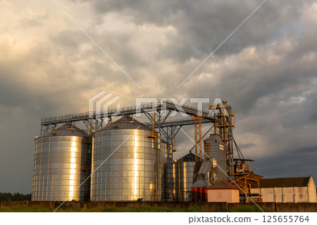 Group of grain dryers complex on dramatic cloudy sunset sky. 125655764