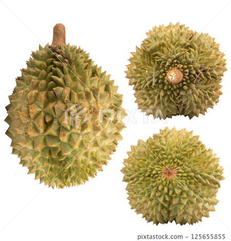 durian isolated on white background durian isolated on white background 125655855