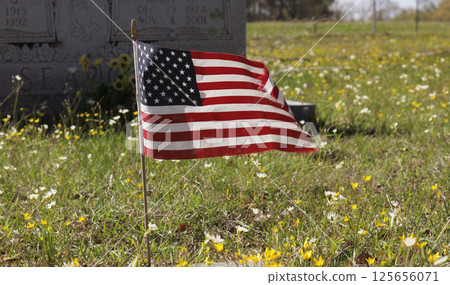 American Flag Flying in Cemetery Near Grave 125656071