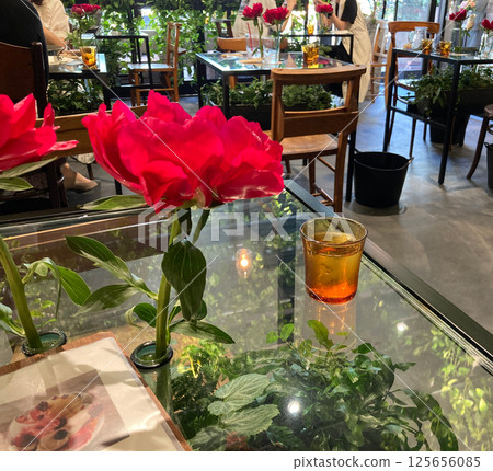 Close-up of peonies displayed on a glass table Close-up of peonies displayed on a glass table 125656085