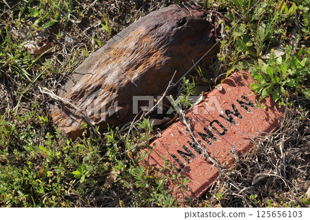Unknown Grave in Historic Cemetery Marked With Large Rock 125656103