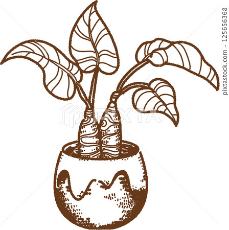 室內植物的線畫 125656368
