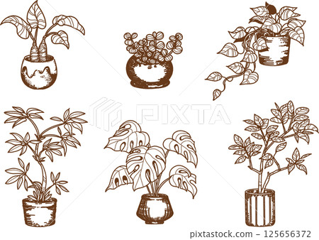 室內植物線描插圖集 125656372