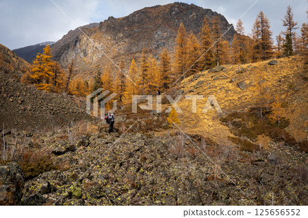 Hiker exploring forested mountain landscape during autumn with rocky terrain 125656552