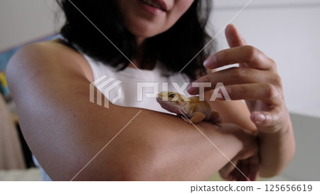 A close view of a gecko resting on a woman s arm, showcasing its intricate textures. This reflects the rising interest in exotic species as personal pets. 125656619