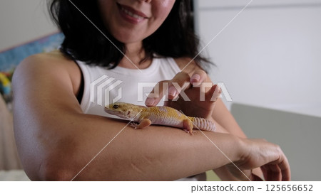 A leopard gecko crawls on a person s arm, displaying its vibrant scales. Such pets represent the growing trend of exotic animal care and responsibility. 125656652