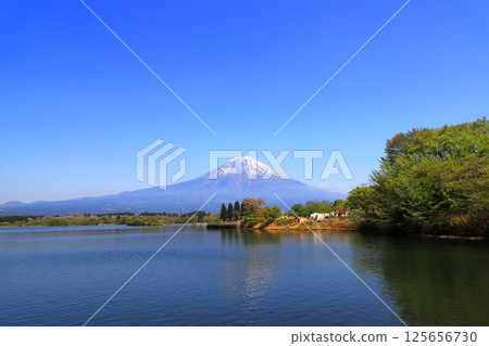 Lake Tanuki的富士山 Lake Tanuki的富士山 125656730