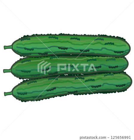 Cucumber illustration Cucumber illustration 125656991