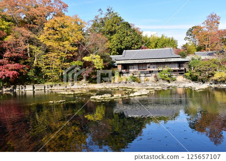 Obama Pond, Rakujukan and autumn leaves at Rakujuen, Mishima City Park, Shizuoka Prefecture 125657107