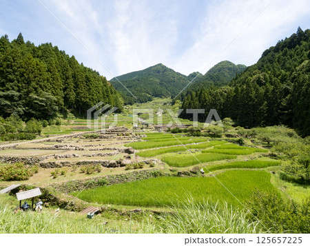 四谷千張 125657225