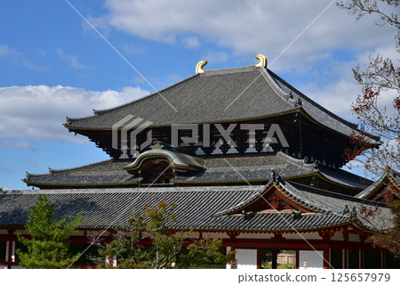 Todaiji Temple Great Buddha Hall and blue sky 125657979