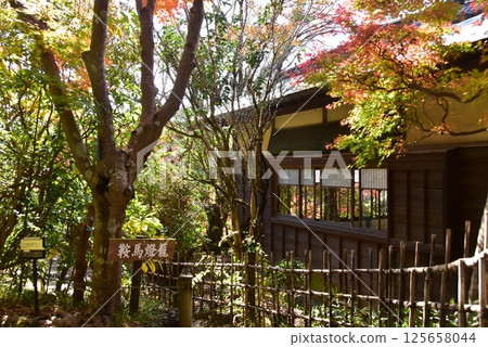 Rakujukan and autumn leaves at Rakujuen Park, Mishima City Park, Shizuoka Prefecture Rakujukan and autumn leaves at Rakujuen Park, Mishima City Park, Shizuoka Prefecture 125658044
