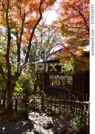 Rakujukan and autumn leaves at Rakujuen Park, Mishima City Park, Shizuoka Prefecture 125658045