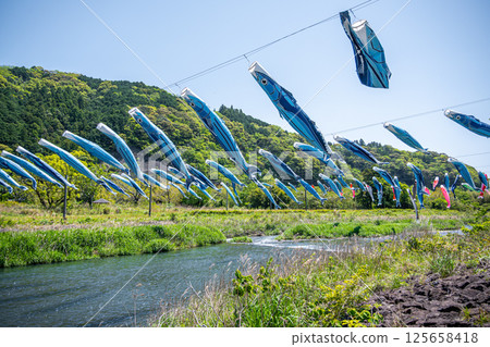 Bring skipjack and carp streamers Bring skipjack and carp streamers 125658418