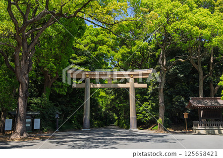 Torii gate at the entrance of Meiji Shrine Torii gate at the entrance of Meiji Shrine 125658421