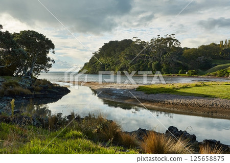 New Zealand landscape, sea bay between islands New Zealand landscape, sea bay between islands 125658875