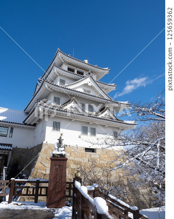 Snowy Suminomata Castle 125659362