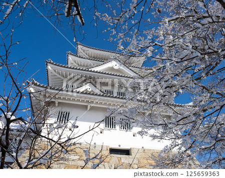 Snowy Suminomata Castle Snowy Suminomata Castle 125659363