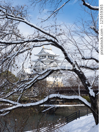 Snowy Suminomata Castle Snowy Suminomata Castle 125659365