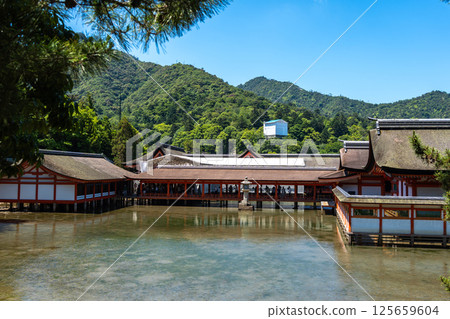Traditional buildings of Itsukushima shrine in Miyajima, near Hiroshima 125659604