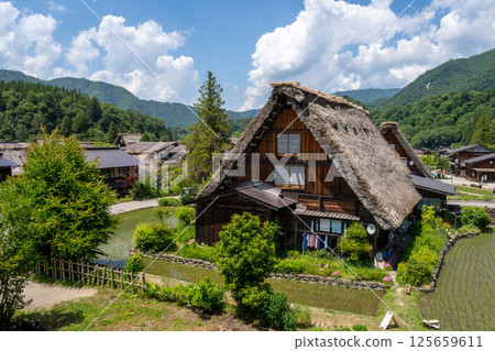 Traditional houses and rice fields in Shirakawa-go, rural Japan 125659611