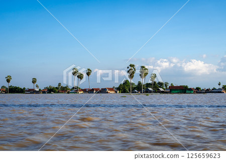 Traditional floating houses of Bujis fishermen on Lake Tempe, Indonesia 125659623