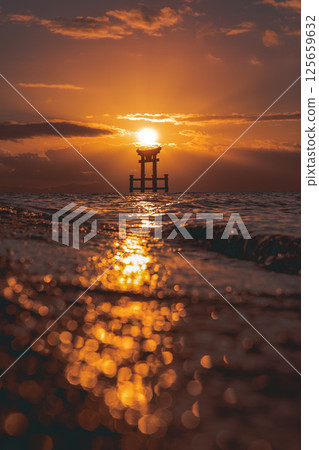Sunlit underwater torii gate 125659632
