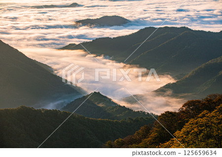 Ooyama的雲海 Ooyama的雲海 125659634