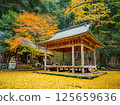 Iwato落葉神社的銀杏 125659636
