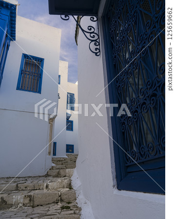 突尼斯西迪布賽義德:鵝卵石小巷和白色房屋 突尼斯西迪布賽義德:鵝卵石小巷和白色房屋 125659662