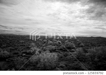 Sonora Desert Arizona in Infrared Sonora Desert Arizona in Infrared 125659792