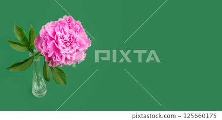Single pink peony in glass vase on green backdrop Minimal image for romantic greeting card. Banner. 125660175