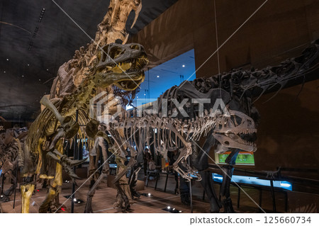 Dinosaur fossil 125660734