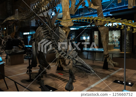 Dinosaur fossil 125660752