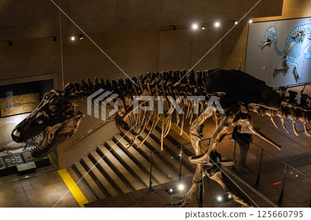 Dinosaur fossil 125660795