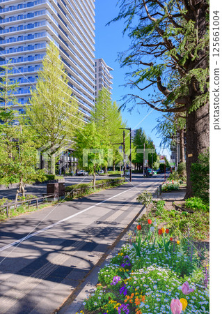 Walking in Sendai, the city of fresh greenery Walking in Sendai, the city of fresh greenery 125661004