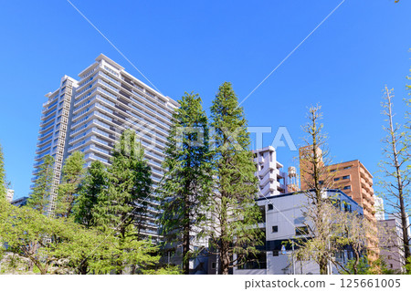 漫步在綠意盎然的城市仙台 漫步在綠意盎然的城市仙台 125661005