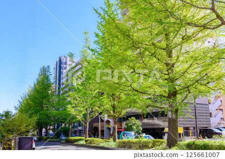 漫步在綠意盎然的城市仙台 漫步在綠意盎然的城市仙台 125661007