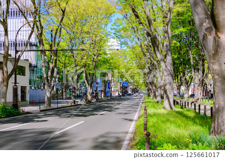 漫步在綠意盎然的城市仙台 漫步在綠意盎然的城市仙台 125661017