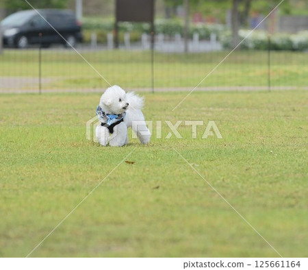 At the Mofukai 125661164