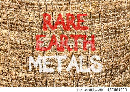 Rare earth metals symbol. Concept words Rare earth metals on beautiful palm bark. Beautiful palm bark background. Business and rare earth metals concept. Copy space. 125661523
