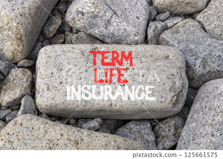 Term life insurance symbol. Concept words Term life insurance on beautiful grey stone. Beautiful grey stones background. Business term life insurance concept. Copy space. Term life insurance symbol. Concept words Term life insurance on beautiful grey stone. Beautiful grey stones background. Business term life insurance concept. Copy space. 125661575