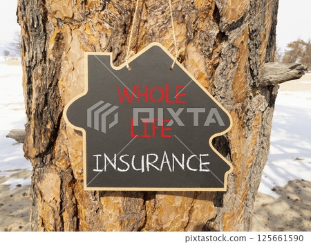 Whole life insurance symbol. Concept words Whole life insurance on beautiful black yellow blackboard. Beautiful old wood and sand background. Business whole life insurance concept. Copy space. 125661590