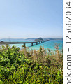 Kakushima Bridge 125662034